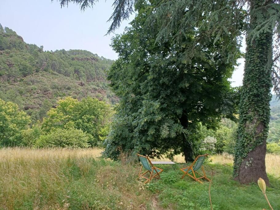 Photo of Others in Saint-Paul-la-Coste