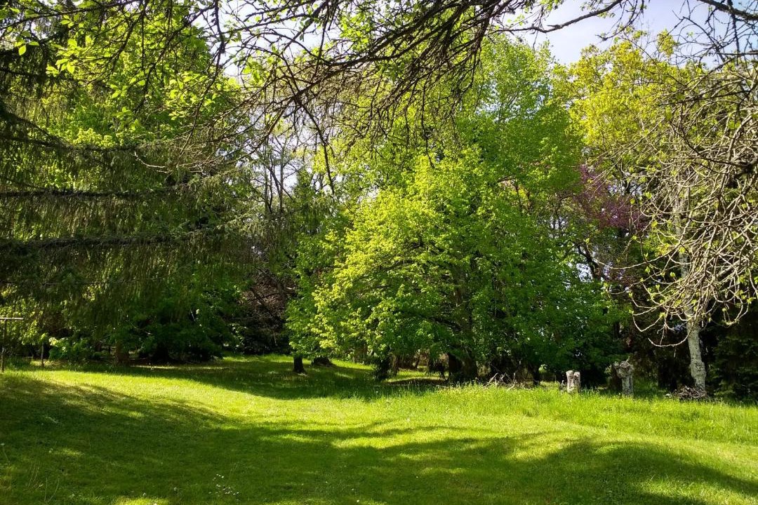 Photo of Others in Saint-Gaudens