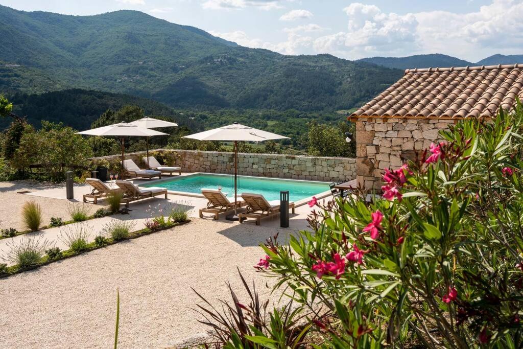 Photo of Others in Brujas
