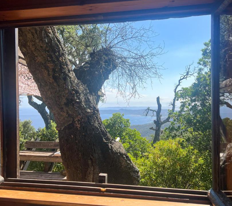 Photo of Others in Le Lavandou
