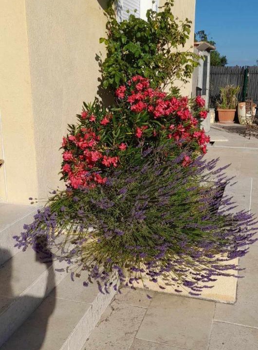 Photo of Others in Manosque