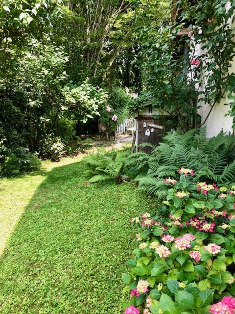 Photo of Others in Saint-Sylvestre