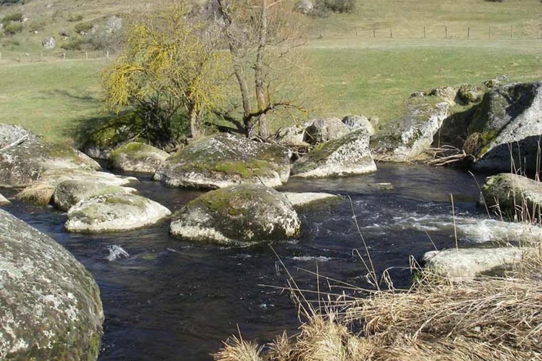 Photo of Others in Saugues
