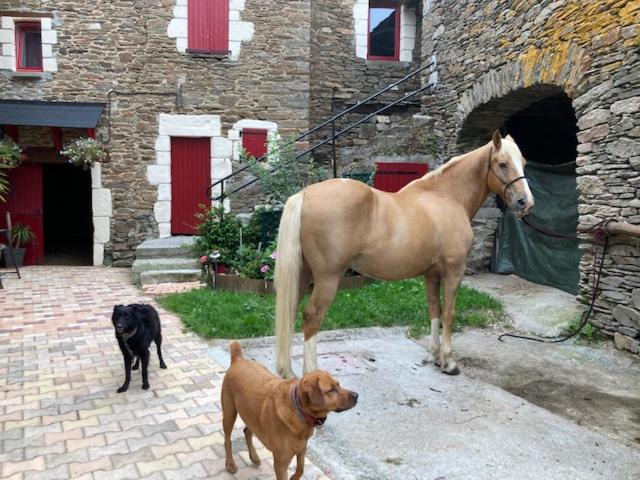 Photo of Others in Pont-de-Salars