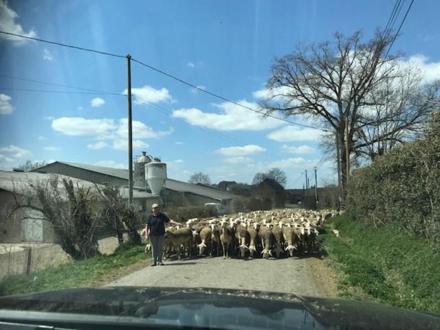 Photo of Others in Pont-de-Salars