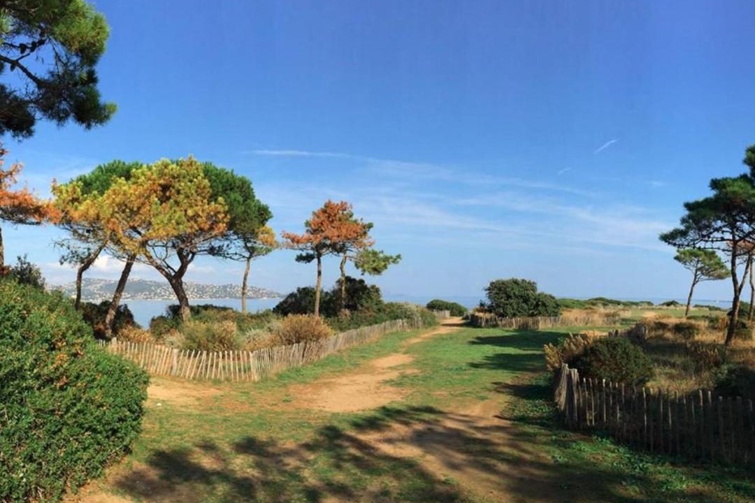 Photo of Others in Sainte-Maxime