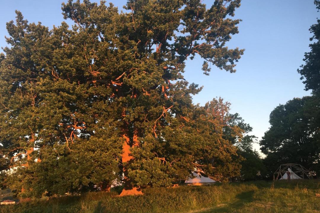 Photo of Others in Hasparren
