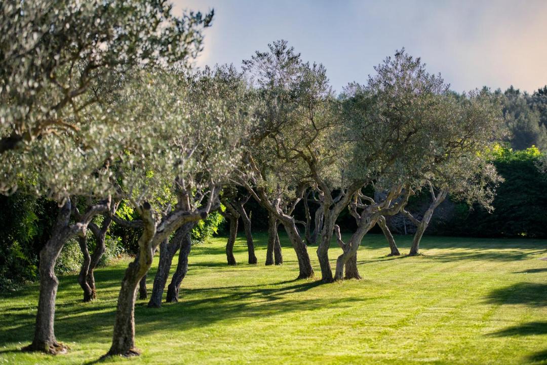 Photo of Others in Les Baux-de-Provence