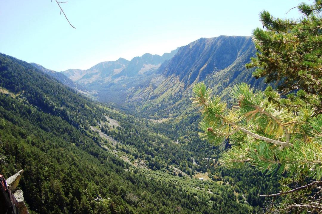 Photo of Others in La Massana