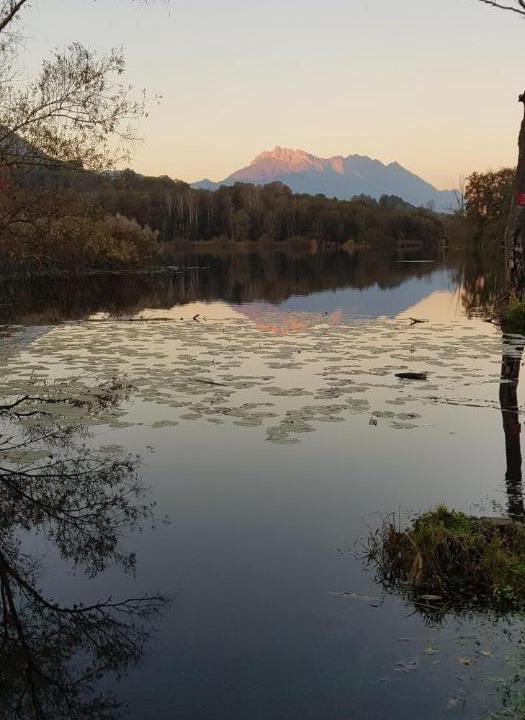 Photo of Others in Sainte-Helene-du-Lac