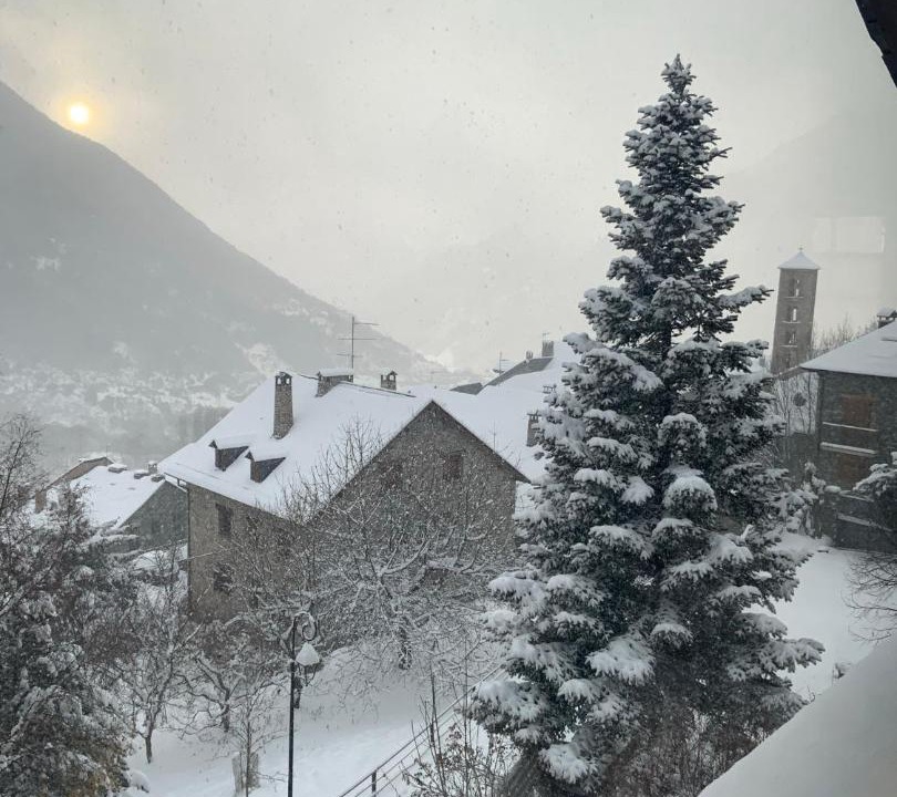 Photo of Others in Taull
