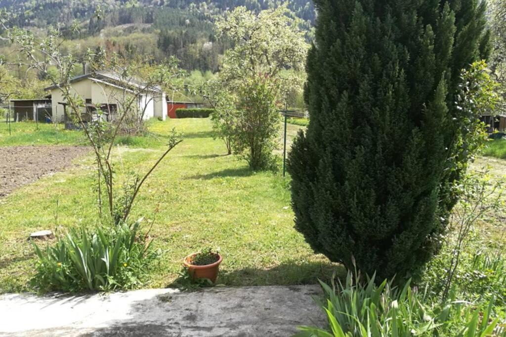 Photo of Others in Fougax-et-Barrineuf