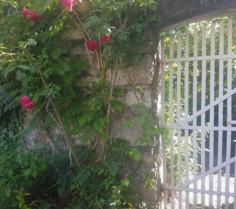Photo of Others in Riviere-sur-Tarn