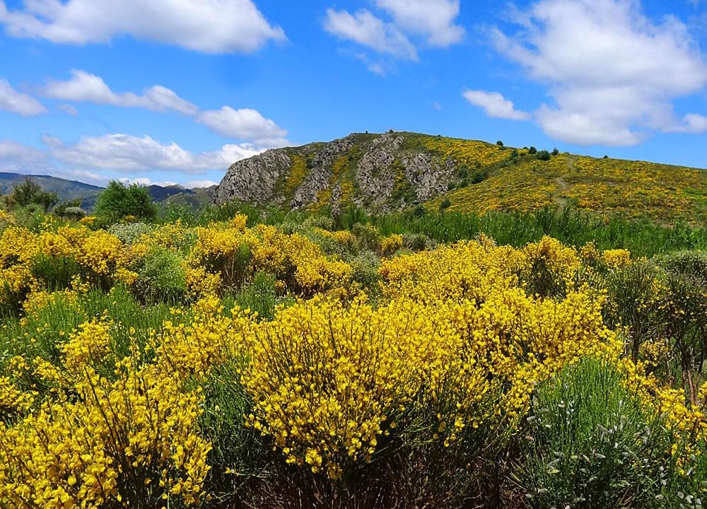 Photo of Outdoor in Laboule