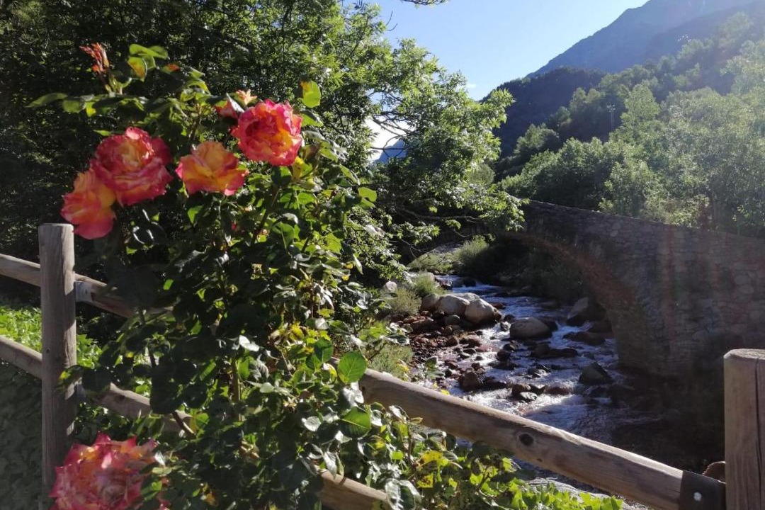 Photo of Others in Benasque