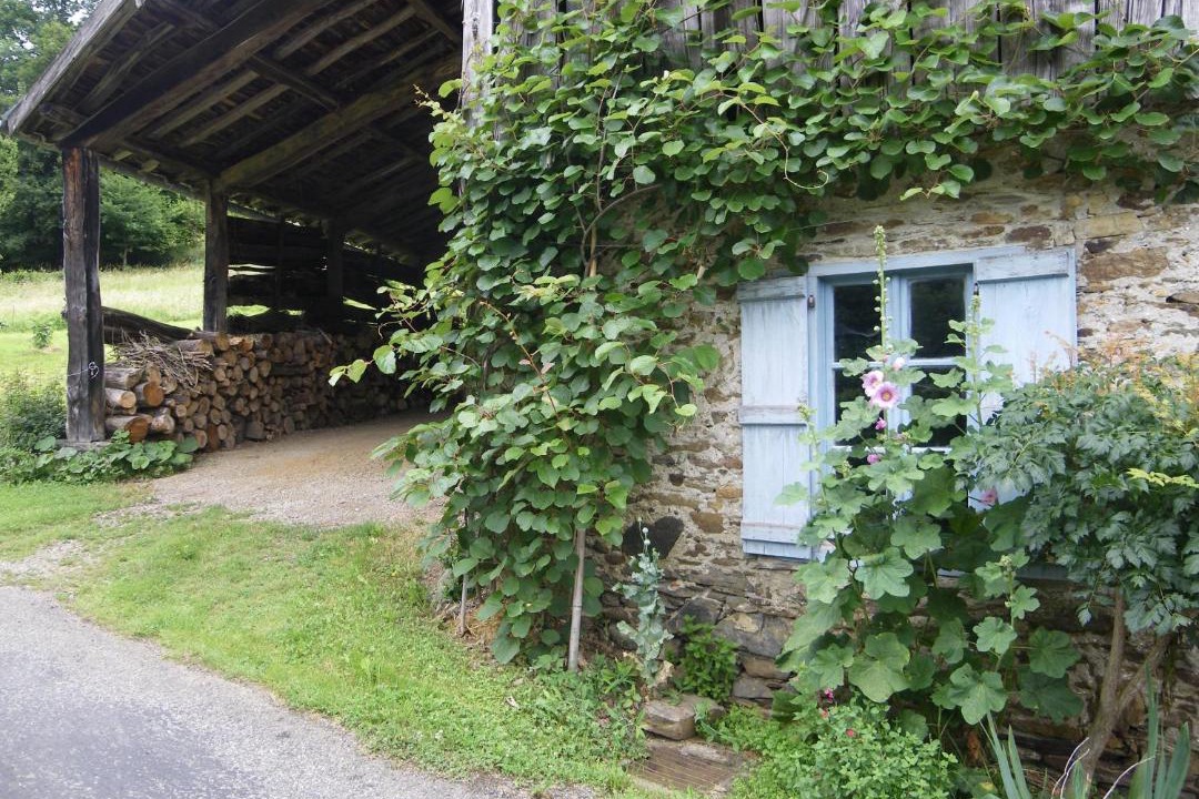 Photo of Others in Chein-Dessus