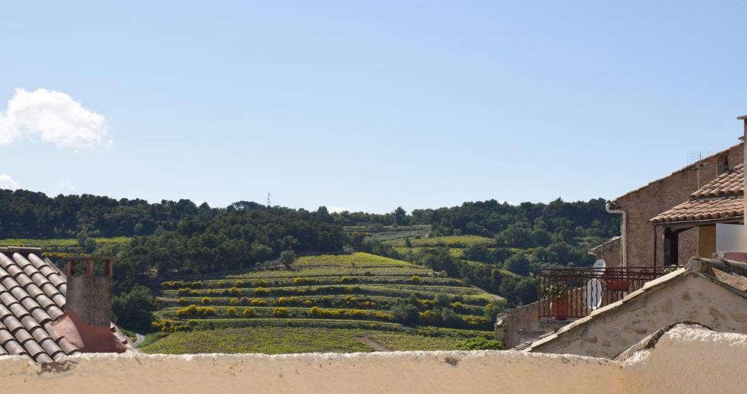 Photo of Others in Vinsobres