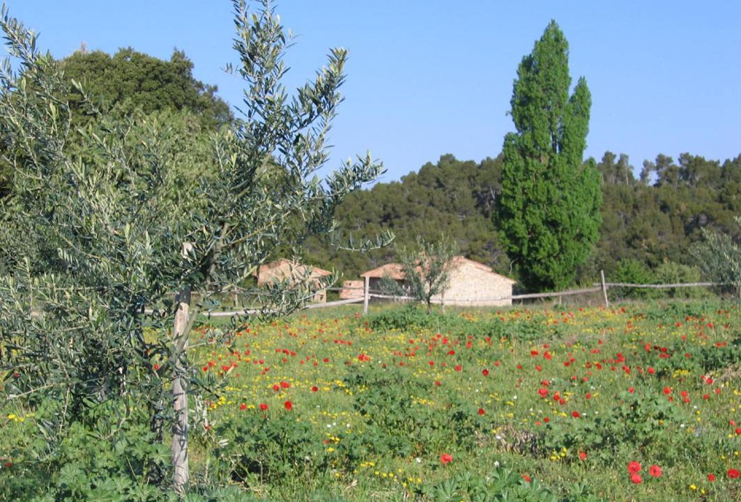 Photo of Others in Flayosc