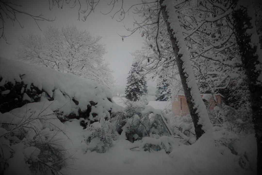 Photo of Others in Saint-Germain-du-Teil