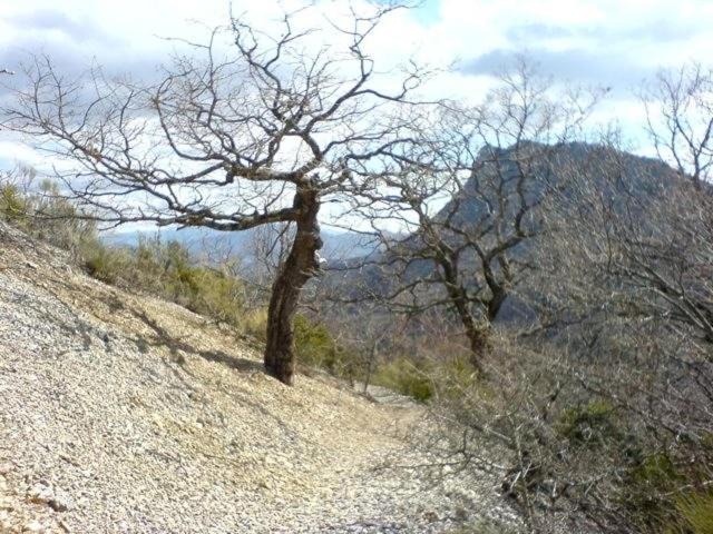 Photo of Others in Chaudebonne