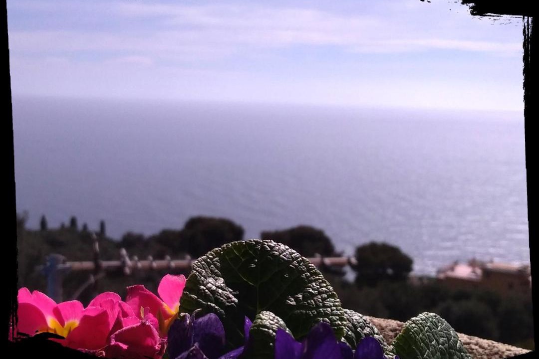 Photo of Others in Cap d'Ail