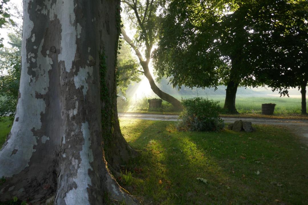 Photo of Others in Vertheuil