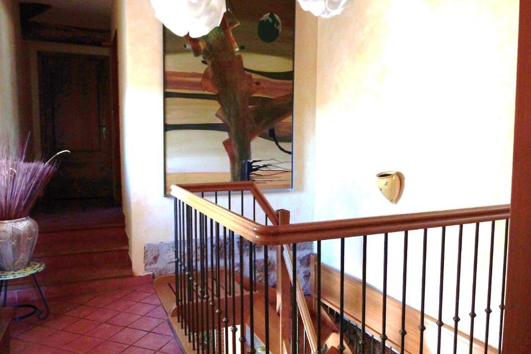Photo of Others in Castelnau-Pegayrols