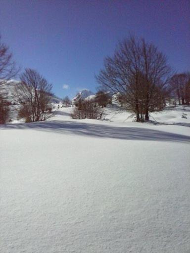 Photo of Others in Sainte-Marie-de-Campan