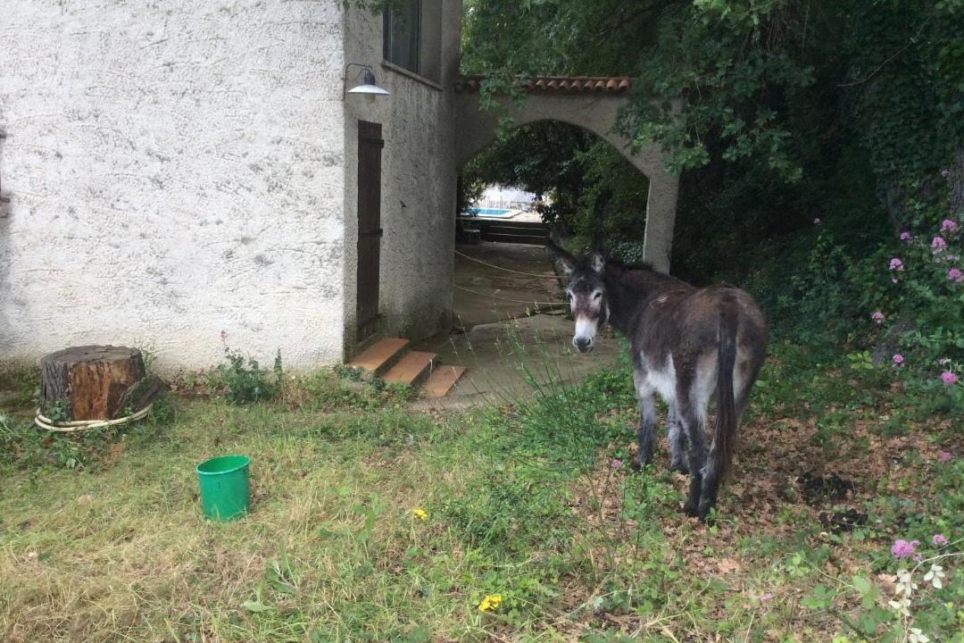 Photo of Others in Puyloubier
