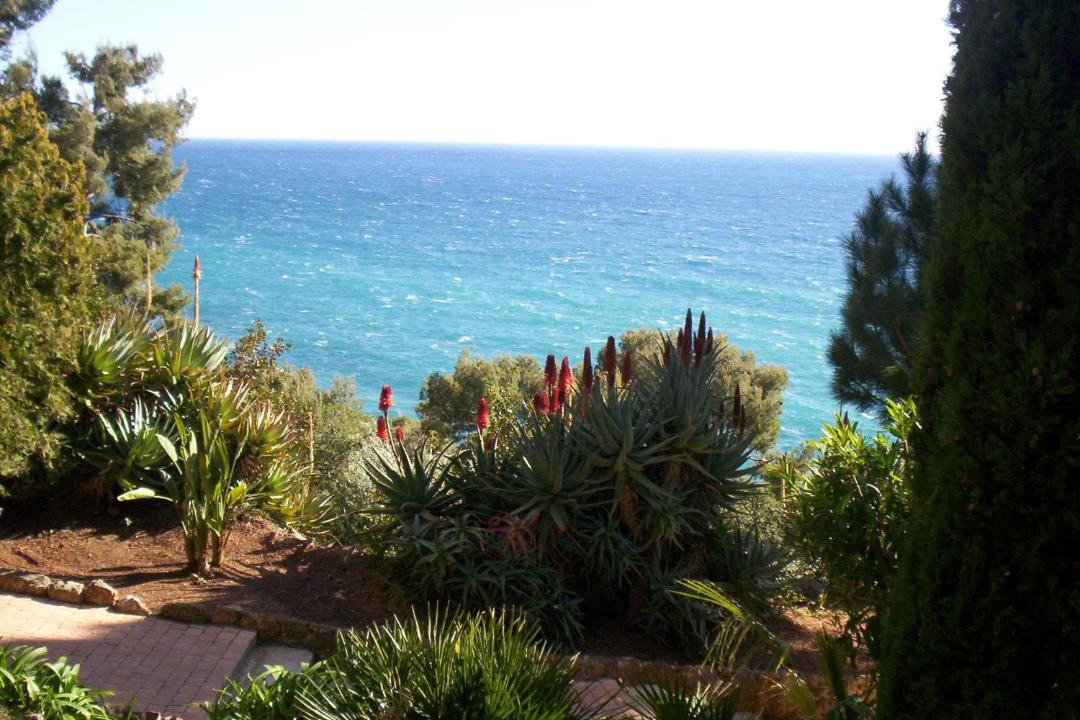 Photo of Others in Cap d'Ail