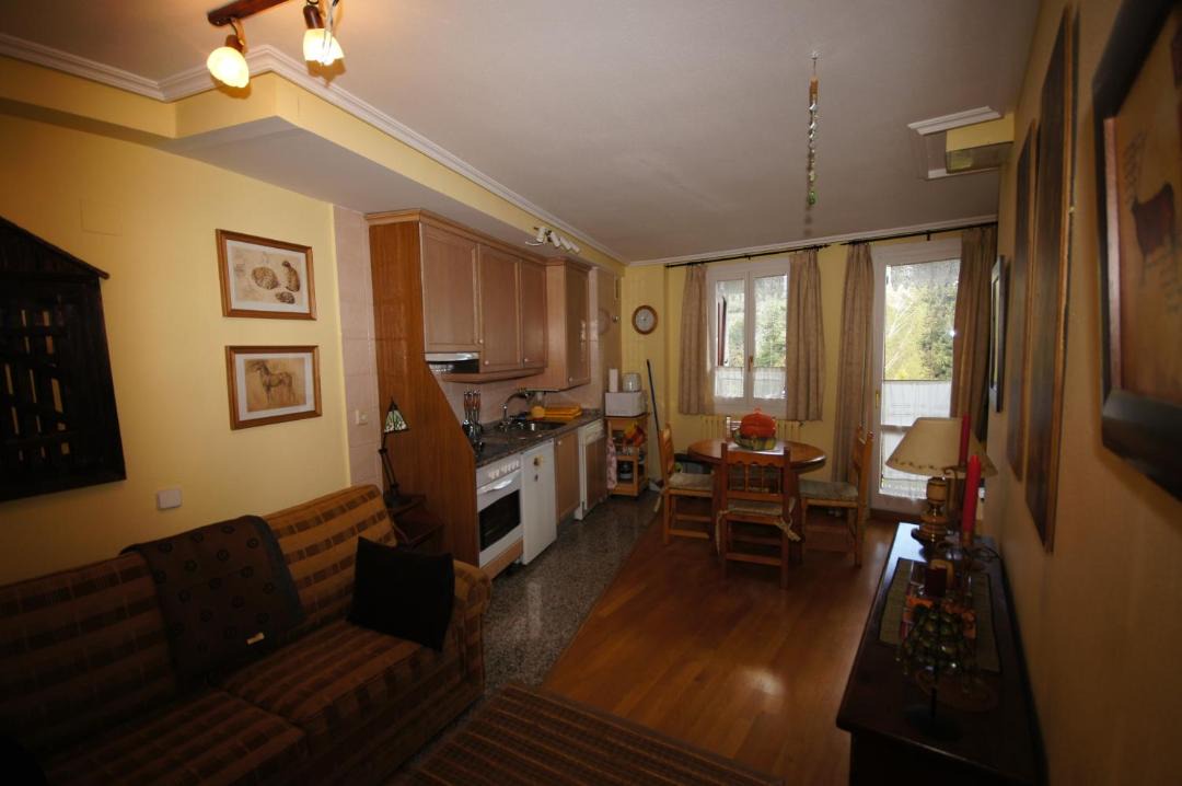 Photo of Livingroom in Benasque
