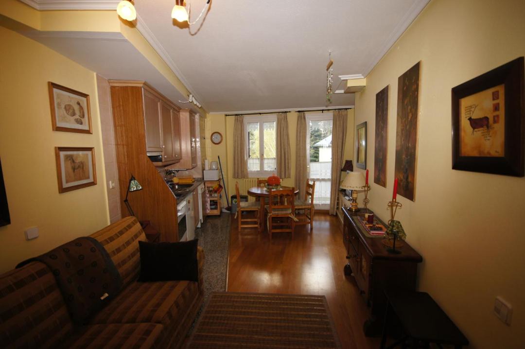 Photo of Livingroom in Benasque