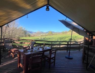 Tent