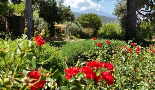 Double Room with Garden View