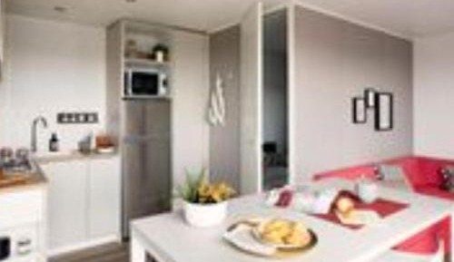 Mobile Home