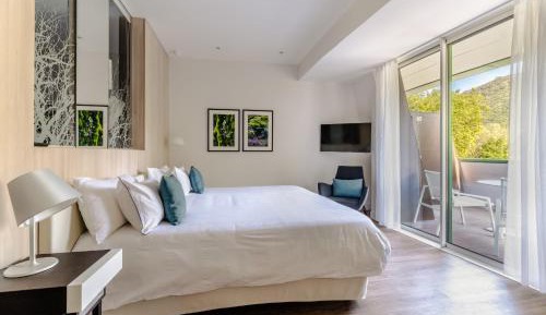 Superior Double Room with Mountain View