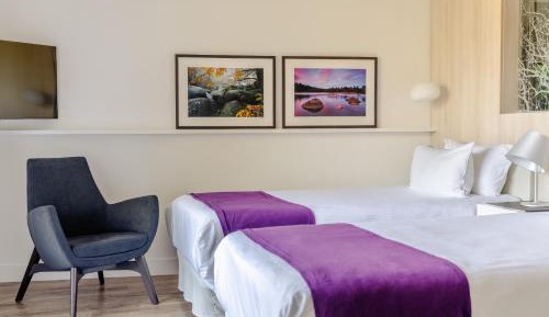 Superior Twin Room with Mountain View