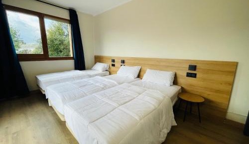 Triple Room with Shared Bathroom