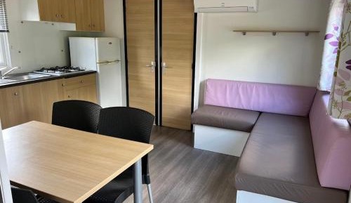 Mobile Home
