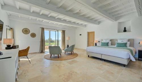Deluxe Suite with terrace and spa access