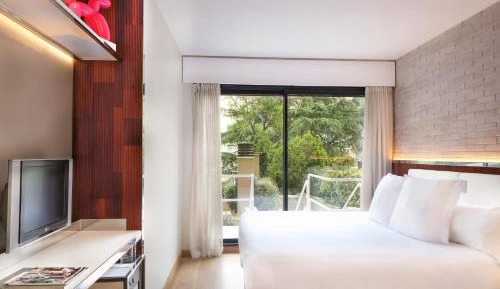 Deluxe Double or Twin Room with private terrace