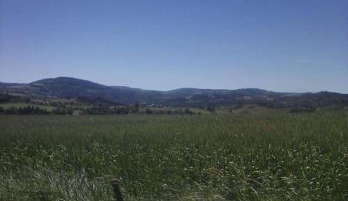 Vacation Home