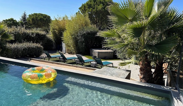 Artist's villa between vineyards and Montpellier
